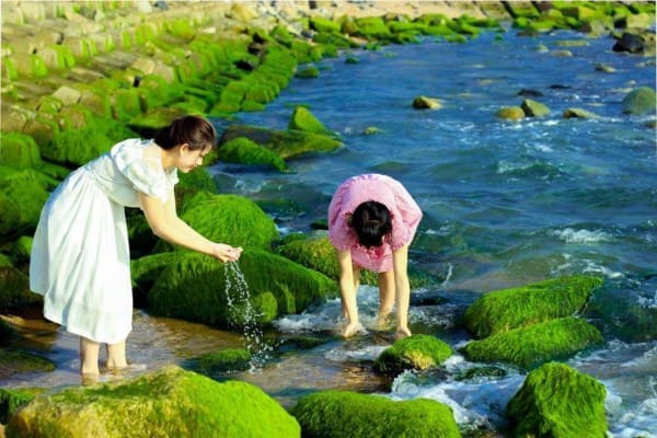 Kè chắn sóng xóm Rớ